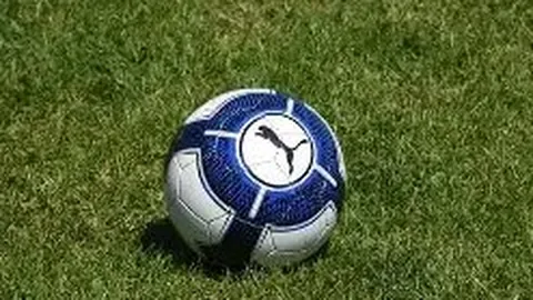 日本羽毛球大师赛李诗沣男单夺冠，央视新闻客户端公布佳绩